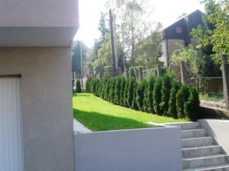 Almica Zagreb